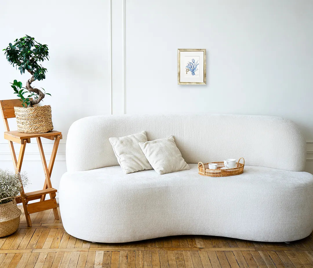 FP‐Line【 チューリップ:Philanthropy】